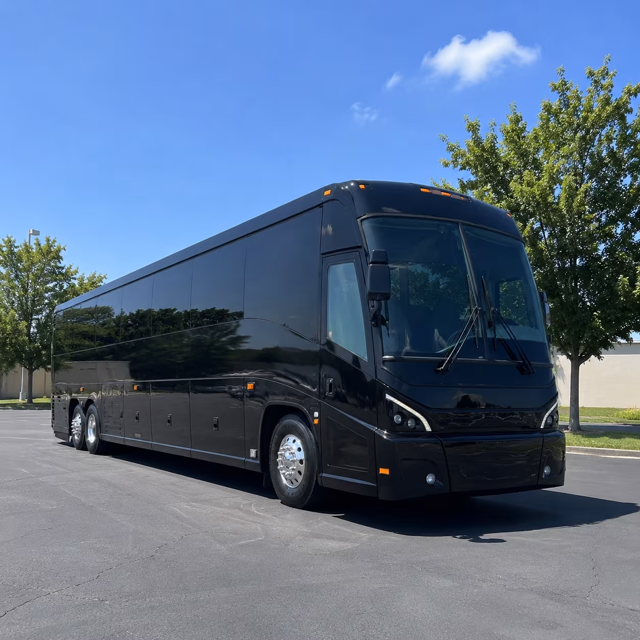 Dallas Concert & Music Festival Transportation party bus exterior