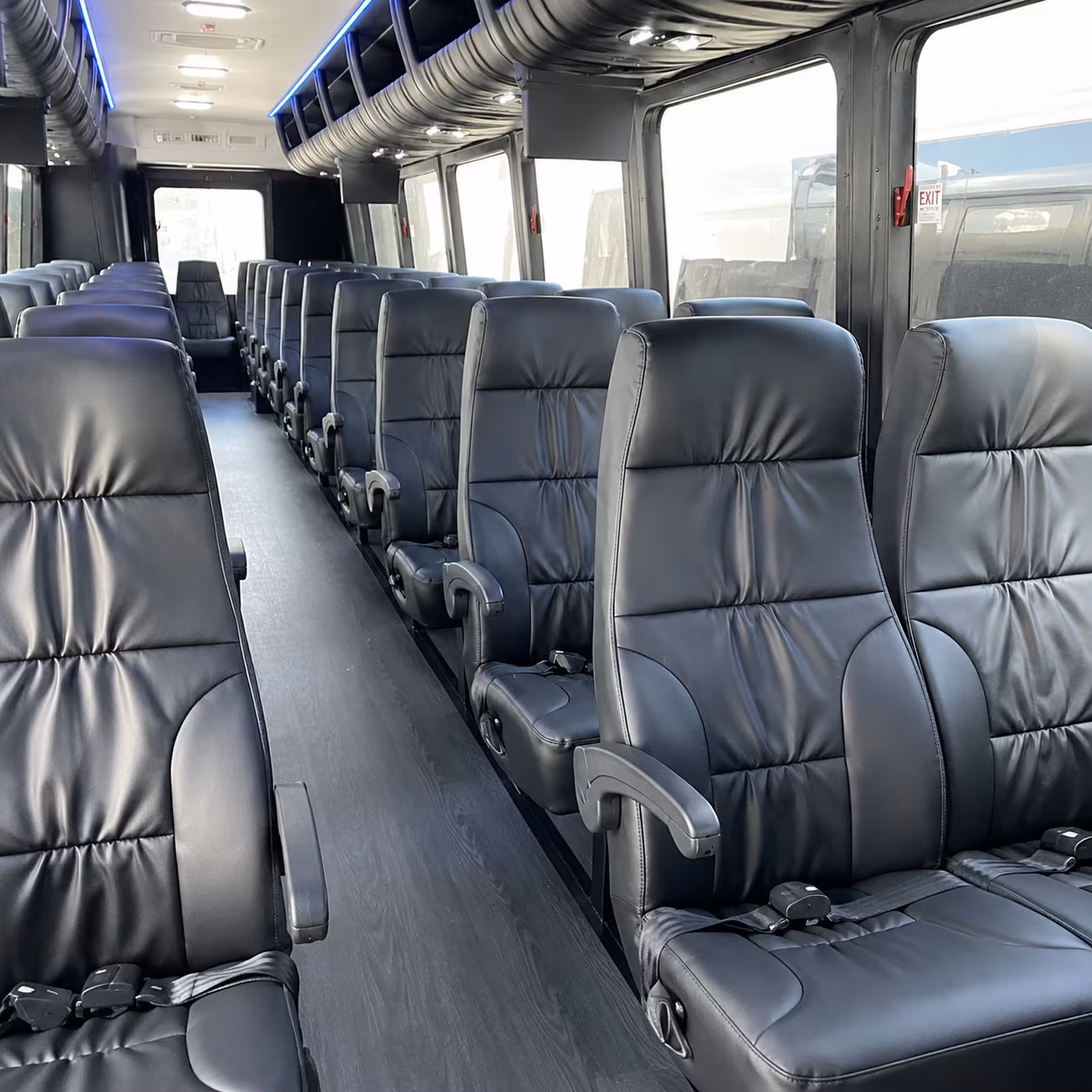 Grand Prairie Homecoming & Prom Party Bus Rentals